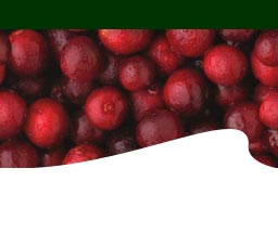 Cranberry Wave